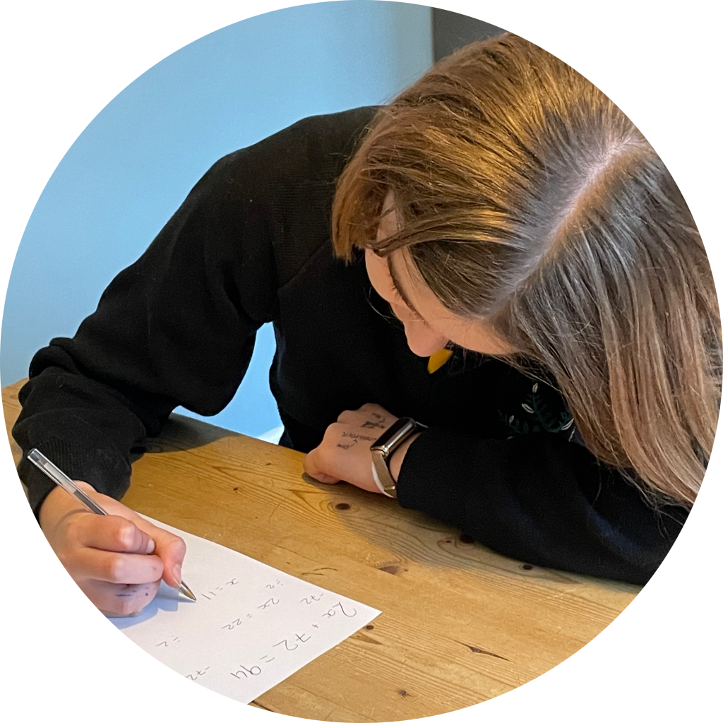 YorMaths Tuition Testimonials